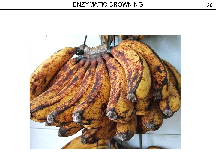 ENZYMATIC BROWNING 20 