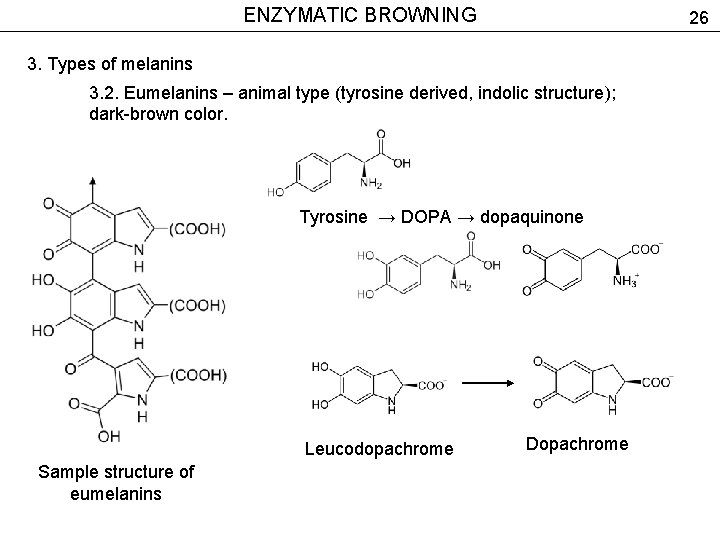ENZYMATIC BROWNING 26 3. Types of melanins 3. 2. Eumelanins – animal type (tyrosine