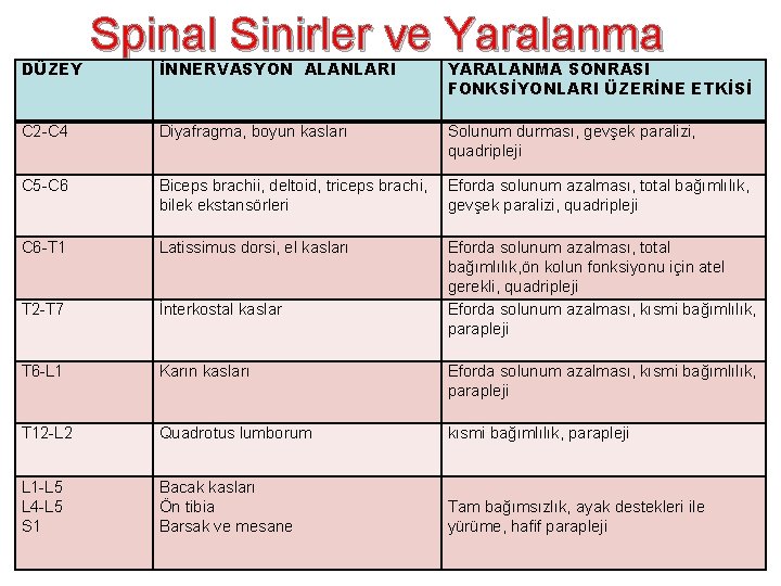 DÜZEY Spinal Sinirler ve Yaralanma İNNERVASYON ALANLARI YARALANMA SONRASI FONKSİYONLARI ÜZERİNE ETKİSİ C 2