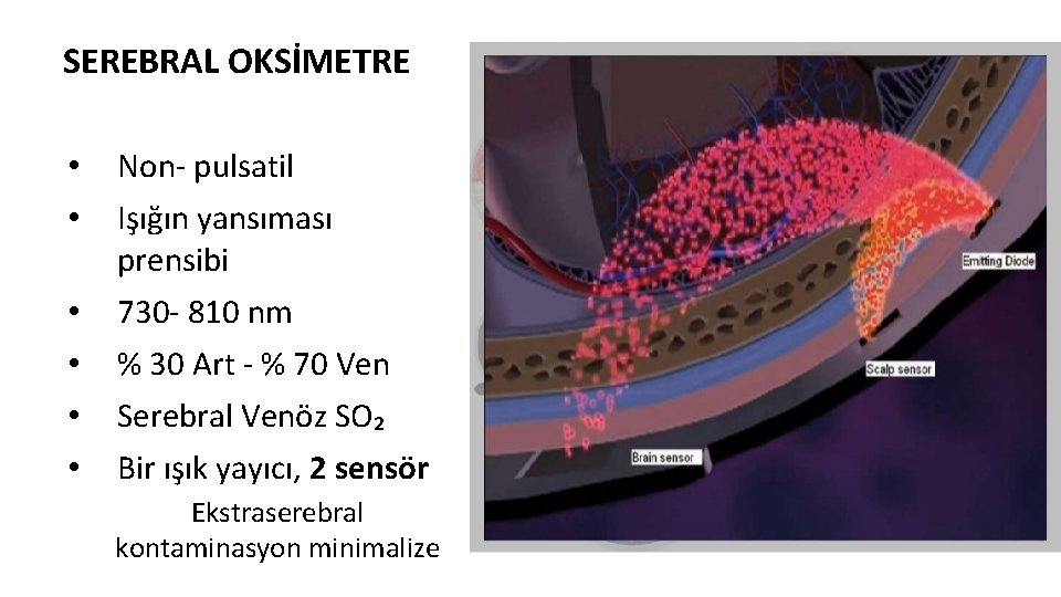 SEREBRAL OKSİMETRE • • Non- pulsatil • • 730 - 810 nm Işığın yansıması