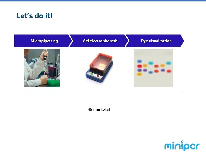 Let’s do it! Micropipetting Gel electrophoresis 45 min total Dye visualization 