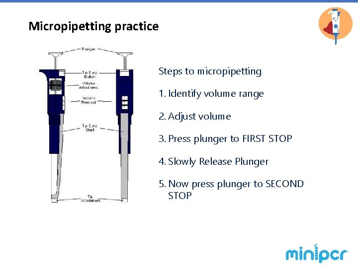 Micropipetting practice Steps to micropipetting 1. Identify volume range 2. Adjust volume 3. Press