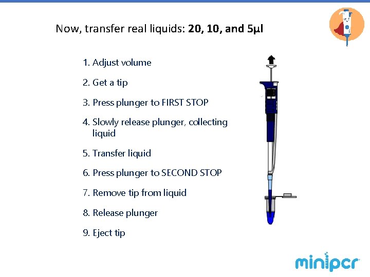 Now, transfer real liquids: 20, 10, and 5µl 1. Adjust volume 2. Get a