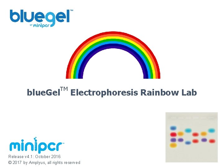 blue. Gel TM Electrophoresis Rainbow Lab Release v 4. 1: October 2016 © 2017