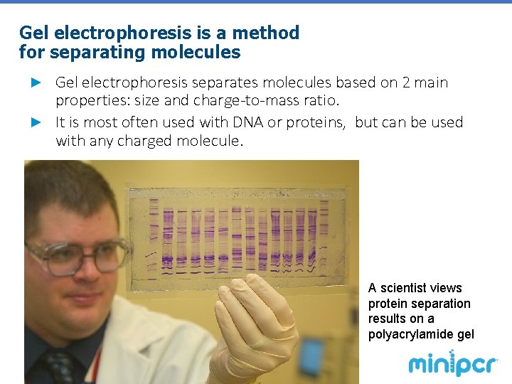 Gel electrophoresis is a method for separating molecules Gel electrophoresis separates molecules based on