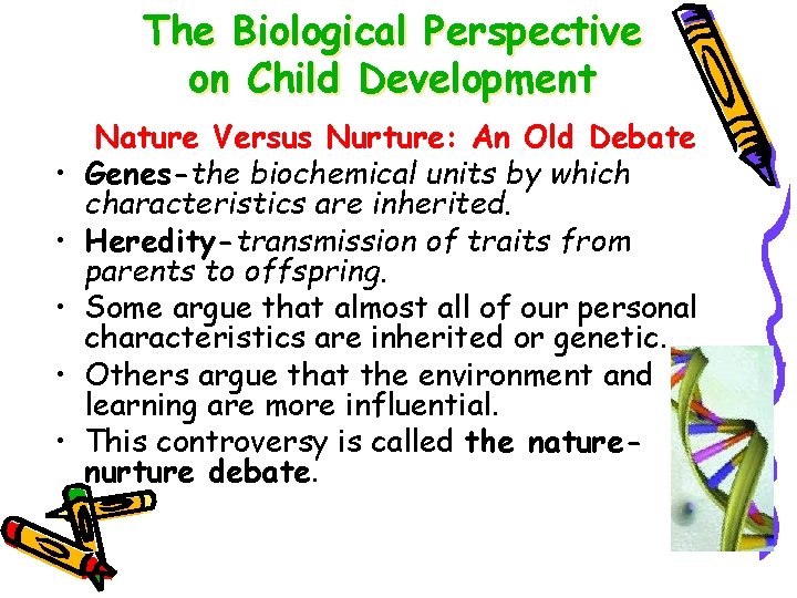 The Biological Perspective on Child Development • • • Nature Versus Nurture: An Old