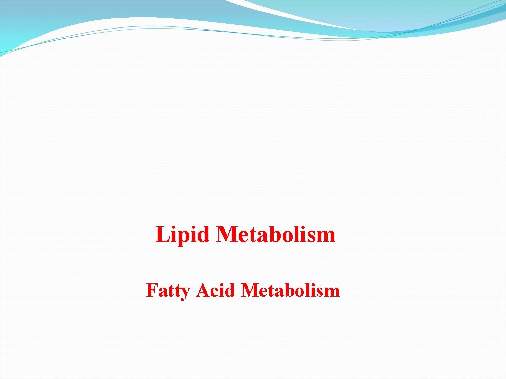 Lipid Metabolism Fatty Acid Metabolism 