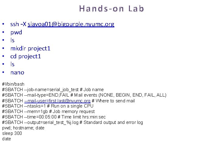 Hands-on Lab • • ssh –X siavoa 01@bigpurple. nyumc. org pwd ls mkdir project