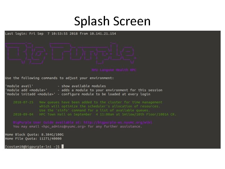 Splash Screen 