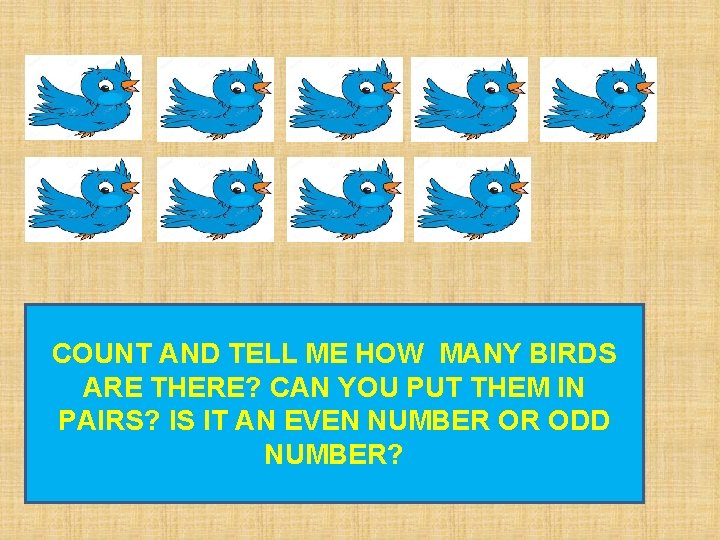 COUNT AND TELL ME HOW MANY BIRDS ARE THERE? CAN YOU PUT THEM IN