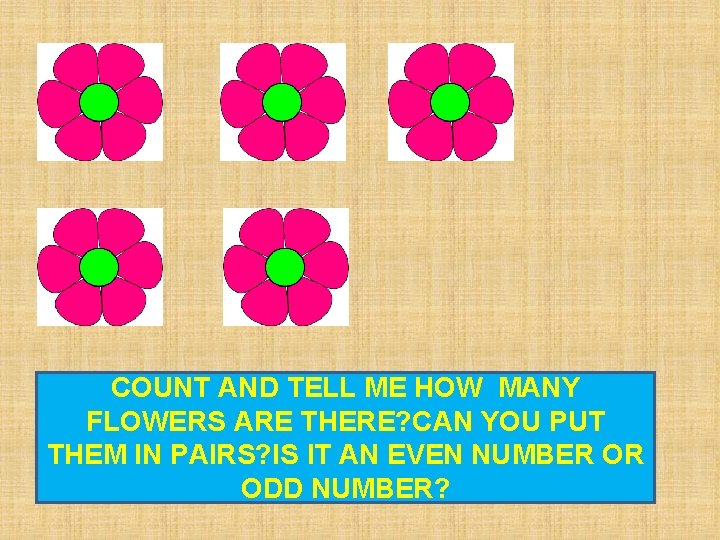 COUNT AND TELL ME HOW MANY FLOWERS ARE THERE? CAN YOU PUT THEM IN
