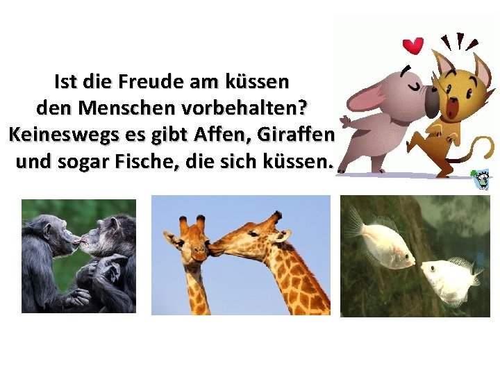 Ist die Freude am küssen den Menschen vorbehalten? Keineswegs es gibt Affen, Giraffen und