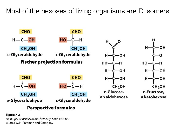 Most of the hexoses of living organisms are D isomers 