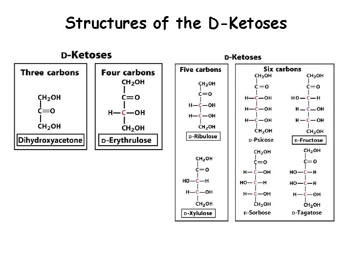 Structures of the D-Ketoses 