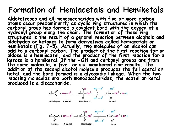 Formation of Hemiacetals and Hemiketals Aldotetroses and all monosaccharides with five or more carbon