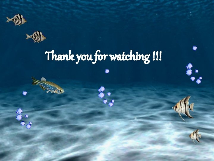 Thank you for watching !!! 