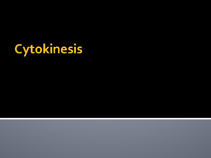 Cytokinesis 