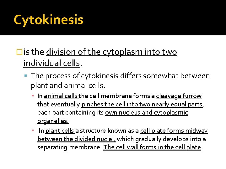 Cytokinesis �is the division of the cytoplasm into two individual cells. The process of