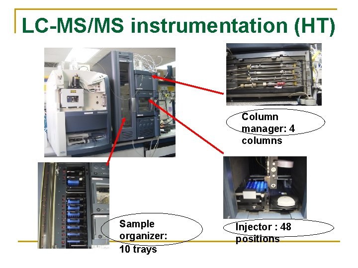 LC-MS/MS instrumentation (HT) Column manager: 4 columns Sample organizer: 10 trays Injector : 48