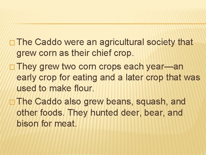 � The Caddo were an agricultural society that grew corn as their chief crop.