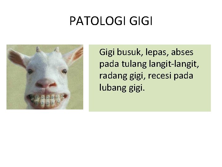 PATOLOGI GIGI Gigi busuk, lepas, abses pada tulangit-langit, radang gigi, recesi pada lubang gigi.