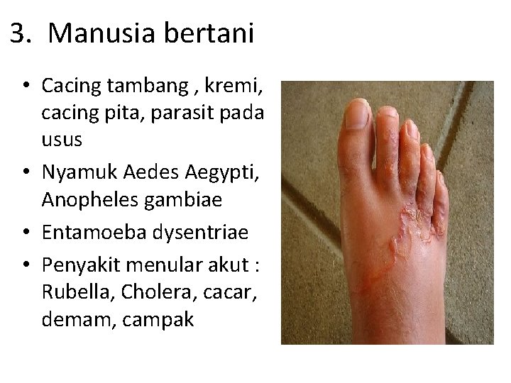 3. Manusia bertani • Cacing tambang , kremi, cacing pita, parasit pada usus •