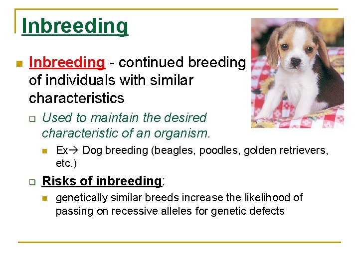 Inbreeding n Inbreeding - continued breeding of individuals with similar characteristics q Used to