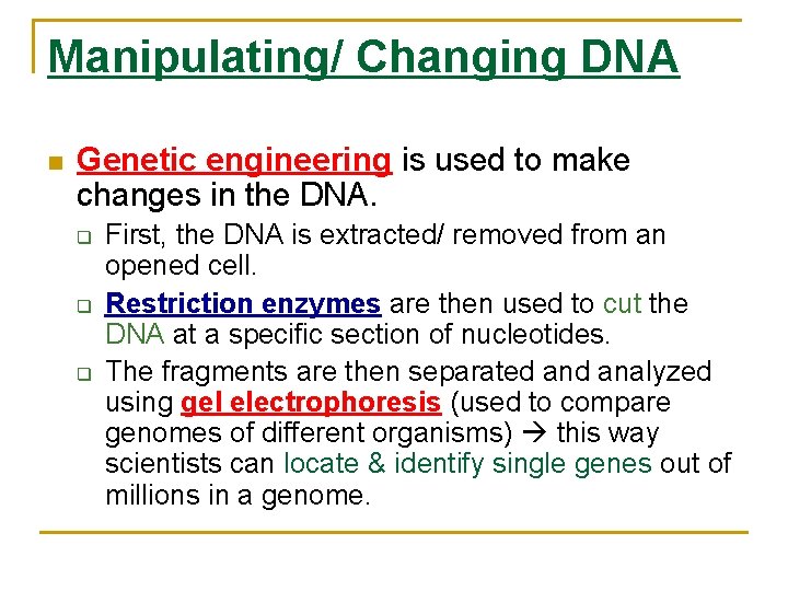 Manipulating/ Changing DNA n Genetic engineering is used to make changes in the DNA.