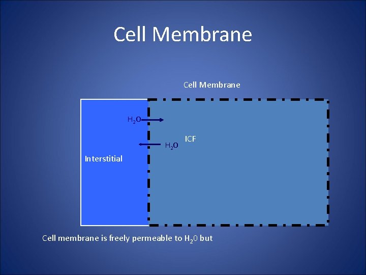 Cell Membrane H 2 O ICF Interstitial Cell membrane is freely permeable to H