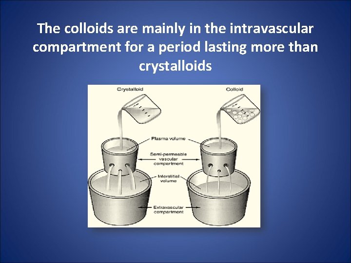The colloids are mainly in the intravascular compartment for a period lasting more than