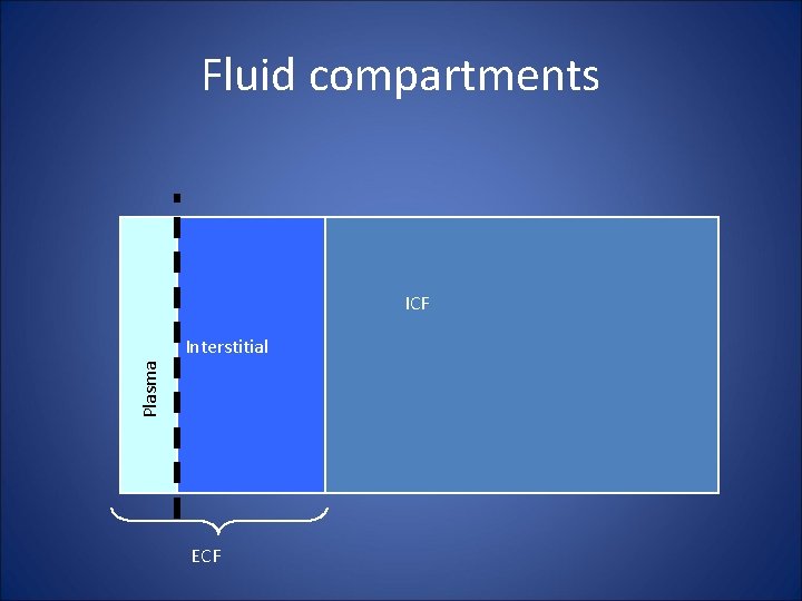 Fluid compartments ICF Plasma Interstitial ECF 