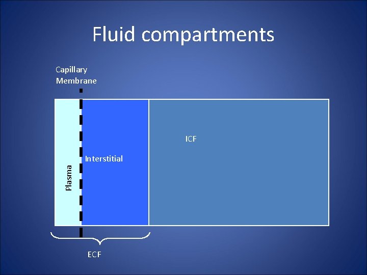 Fluid compartments Capillary Membrane ICF Plasma Interstitial ECF 