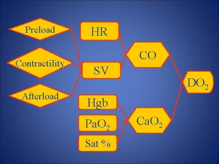 Preload Contractility Afterload HR CO SV DO 2 Hgb Pa. O 2 Sat %