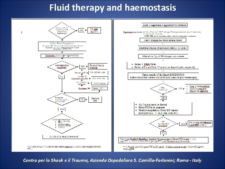  Fluid therapy and haemostasis Centro per lo Shock e il Trauma, Azienda Ospedaliera