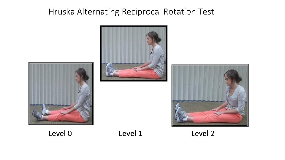 Hruska Alternating Reciprocal Rotation Test Level 0 Level 1 Level 2 