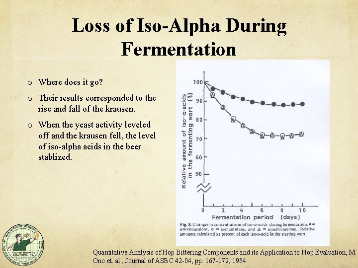 Loss of Iso-Alpha During Fermentation o Where does it go? o Their results corresponded