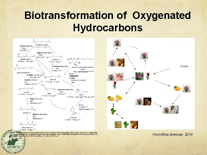 Biotransformation of Oxygenated Hydrocarbons From Mike Brennan, 2019 