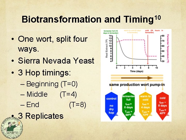 Biotransformation and Timing 10 • One wort, split four ways. • Sierra Nevada Yeast