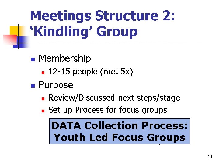 Meetings Structure 2: ‘Kindling’ Group n Membership n n 12 -15 people (met 5