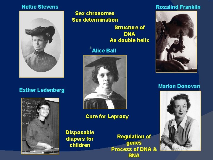 Nettie Stevens Rosalind Franklin Sex chrosomes Sex determination Structure of DNA As double helix