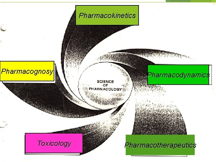 Pharmacokinetics Science Pharmacognosy Toxicology of Pharmacology Pharmacodynamics Pharmacotherapeutics 