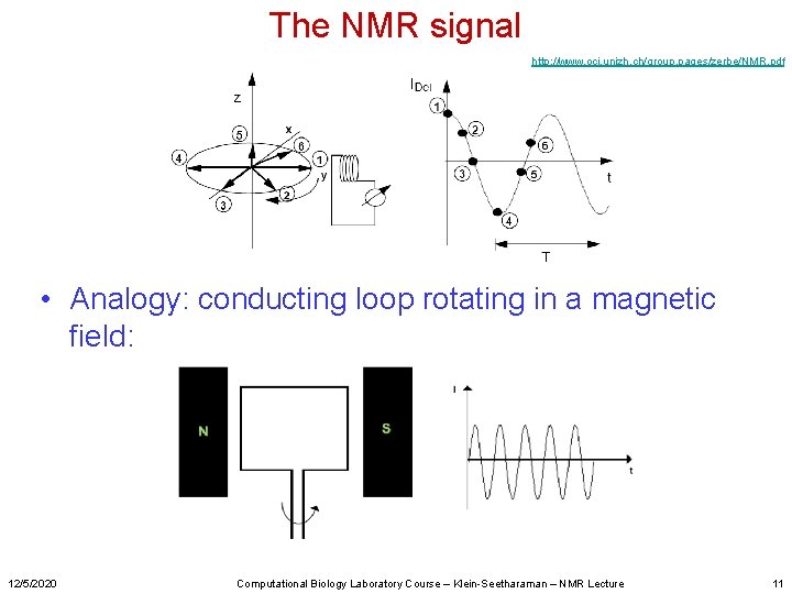 The NMR signal http: //www. oci. unizh. ch/group. pages/zerbe/NMR. pdf • Analogy: conducting loop
