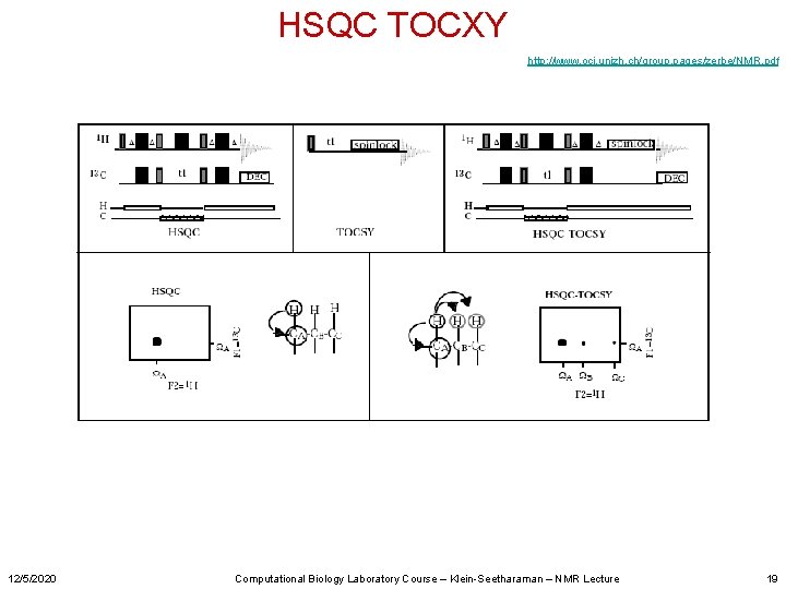 HSQC TOCXY http: //www. oci. unizh. ch/group. pages/zerbe/NMR. pdf 12/5/2020 Computational Biology Laboratory Course