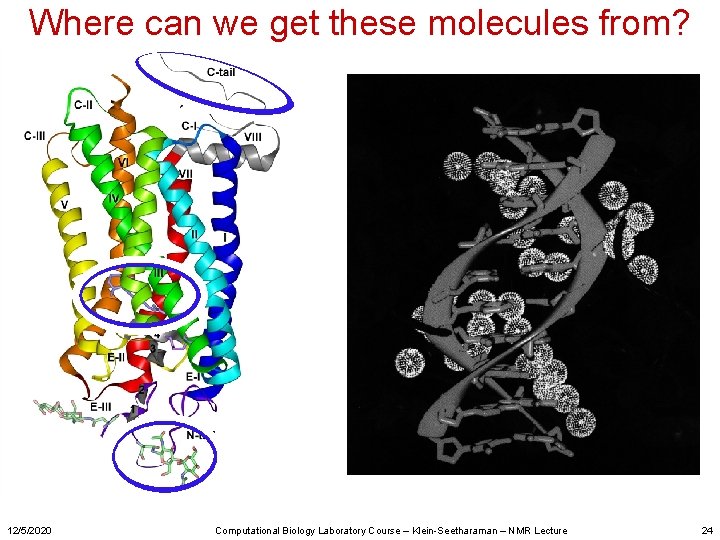 Where can we get these molecules from? 12/5/2020 Computational Biology Laboratory Course – Klein-Seetharaman