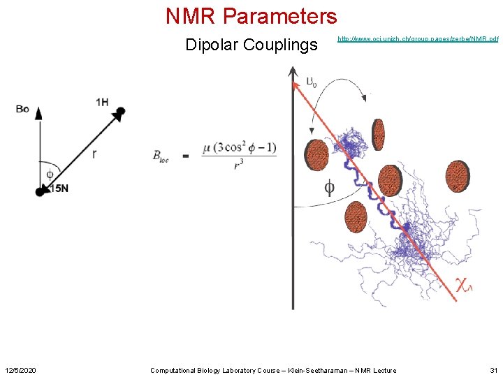 NMR Parameters Dipolar Couplings 12/5/2020 http: //www. oci. unizh. ch/group. pages/zerbe/NMR. pdf Computational Biology