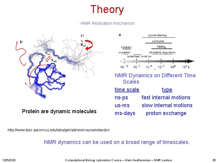 Theory -NMR Relaxation mechanism Protein are dynamic molecules NMR Dynamics on Different Time Scales