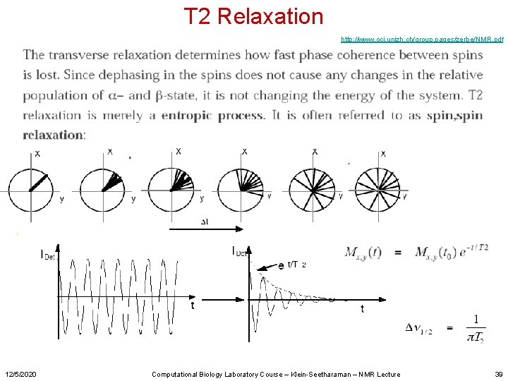 T 2 Relaxation http: //www. oci. unizh. ch/group. pages/zerbe/NMR. pdf 12/5/2020 Computational Biology Laboratory