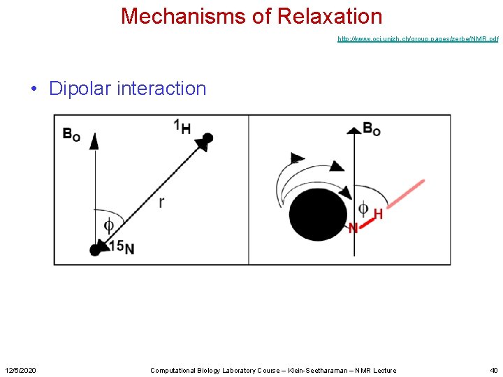 Mechanisms of Relaxation http: //www. oci. unizh. ch/group. pages/zerbe/NMR. pdf • Dipolar interaction 12/5/2020