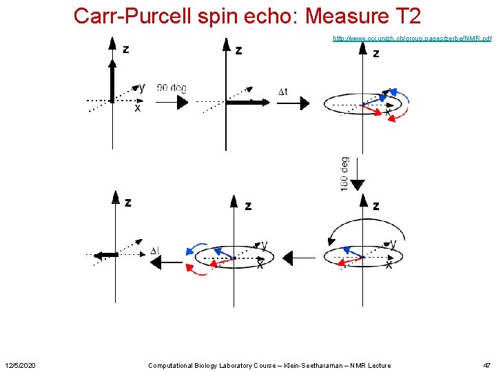 Carr-Purcell spin echo: Measure T 2 http: //www. oci. unizh. ch/group. pages/zerbe/NMR. pdf 12/5/2020