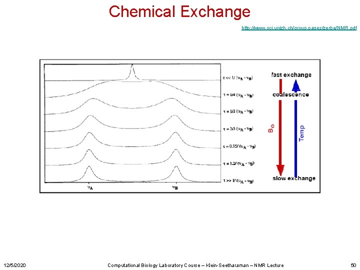 Chemical Exchange http: //www. oci. unizh. ch/group. pages/zerbe/NMR. pdf 12/5/2020 Computational Biology Laboratory Course